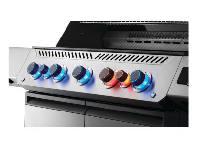 Napoléon - PRESTIGE® 665 Connecté RSIB